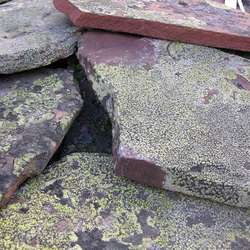 Плитняк ЛИШАЙНИК из кварцита-песчаника купить